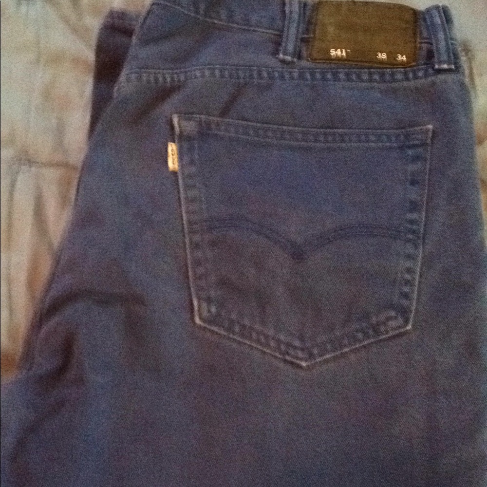 541 Levi